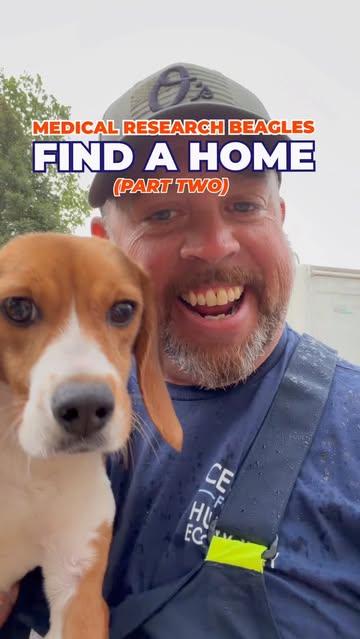 Happy man with a beagle puppy outdoors, promoting pet adoption and care.
